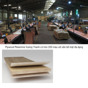 Điểm nổi bật của ván gỗ Plywood phủ Melamine