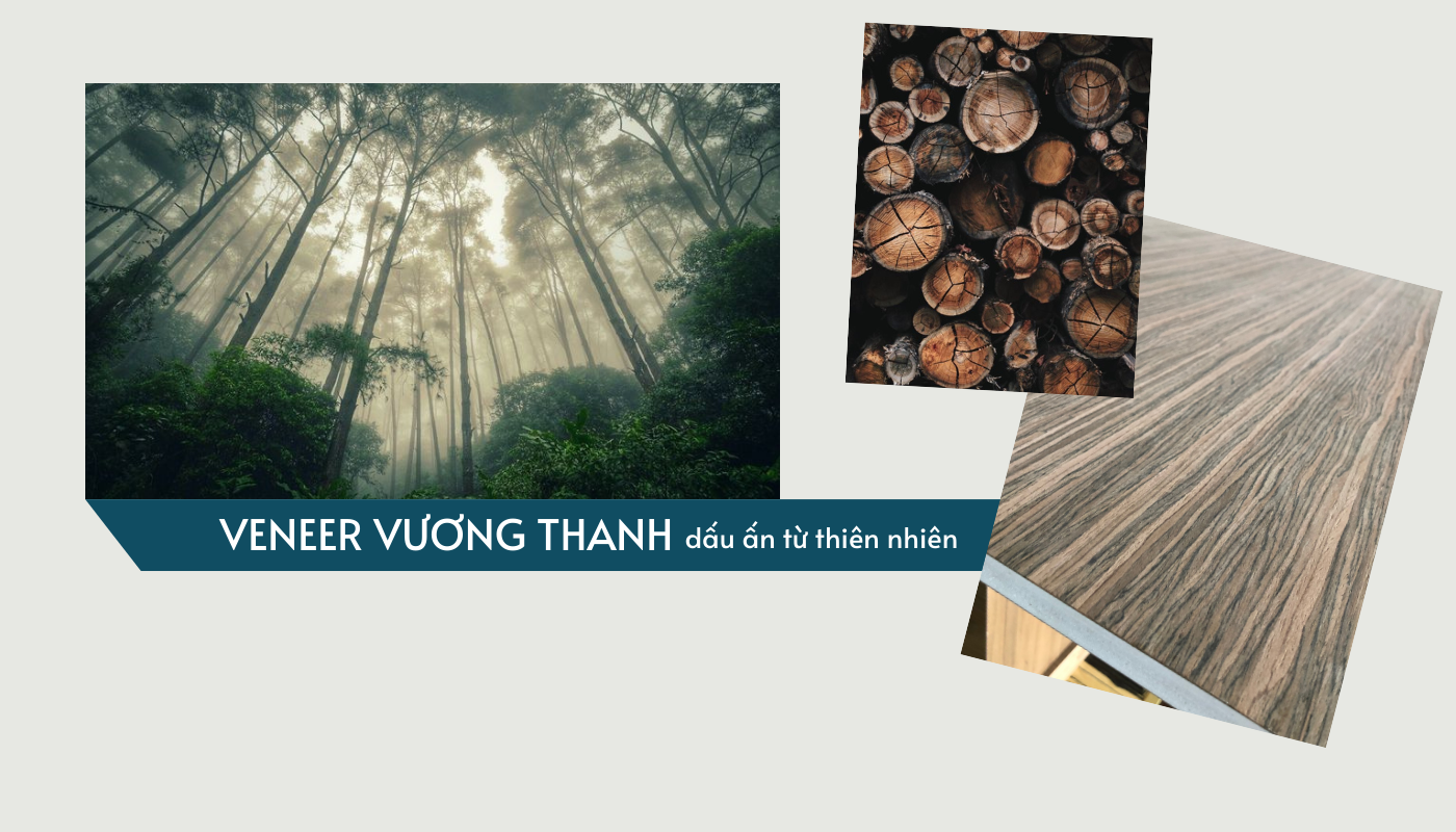 Vương Thanh Group